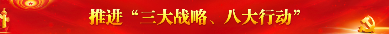 推進“三大戰(zhàn)略、八大行動”